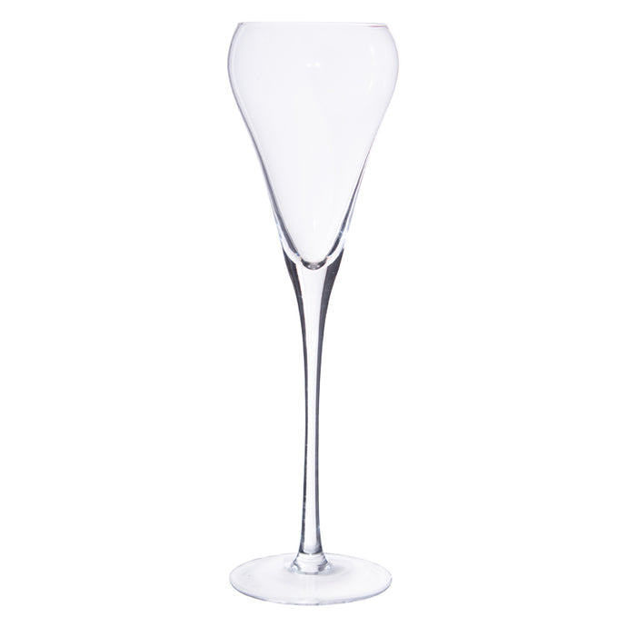 Tulip Champagne Glass (Set of 6)